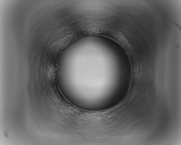 X0000100780029200806261639