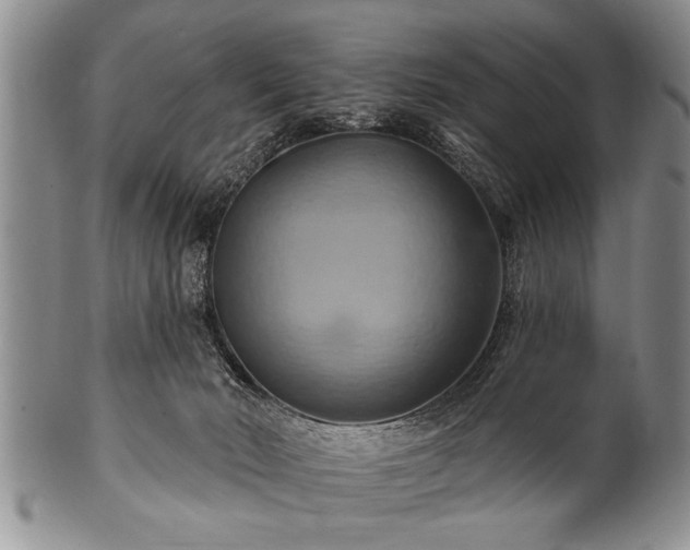 X0000100780030200806261639