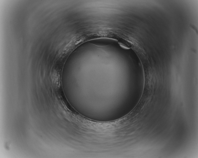 X0000100780031200806261639