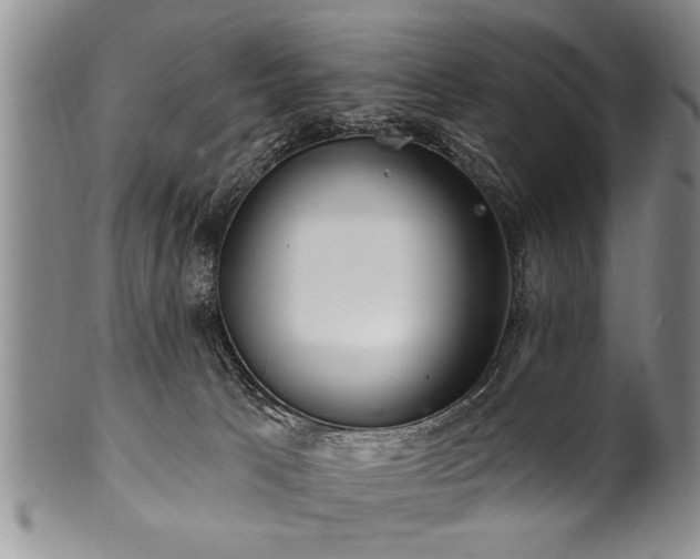 X0000100780033200806261639