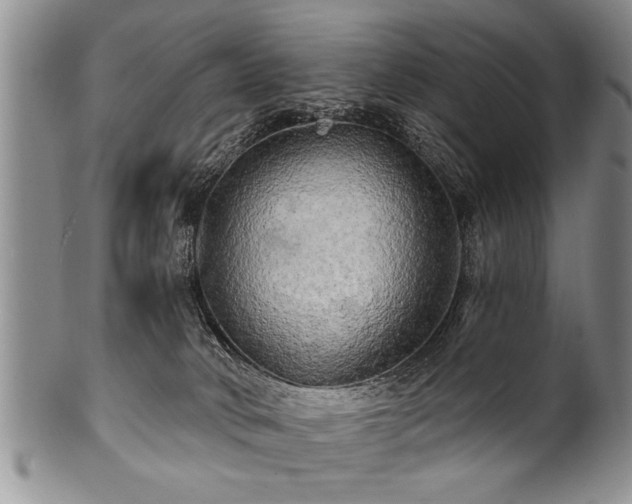 X0000100780034200806261639