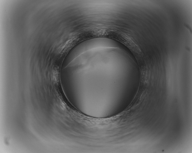 X0000100780035200806261639