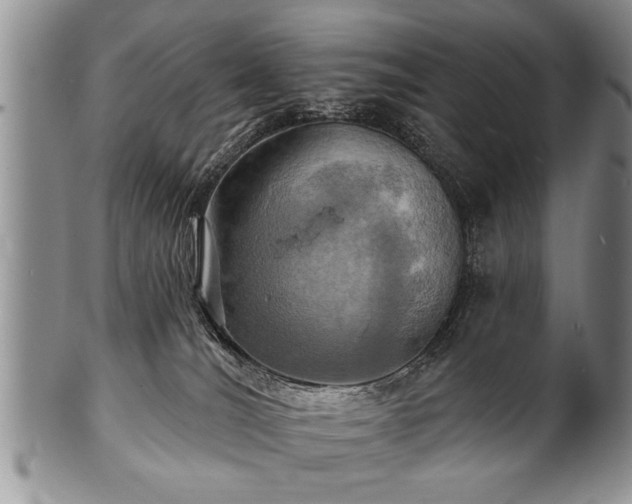 X0000100780036200806261639