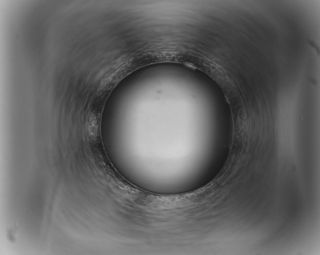 X0000100780037200806261639