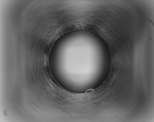 X0000100780038200806261639