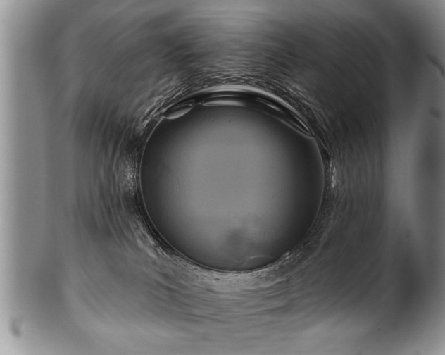 X0000100780039200806261639