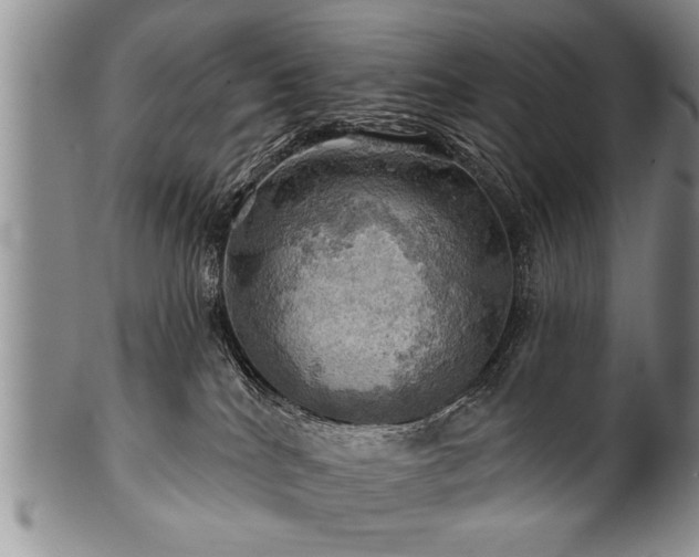 X0000100780040200806261639