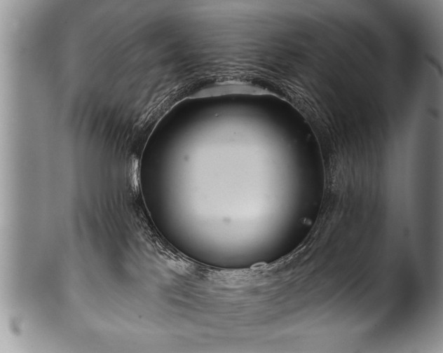 X0000100780041200806261639