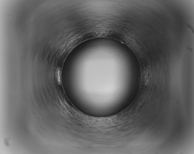 X0000100780042200806261639