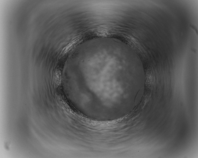 X0000100780043200806261639