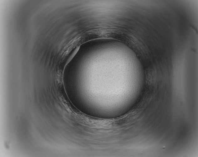 X0000100780044200806261639