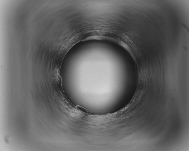 X0000100780045200806261639