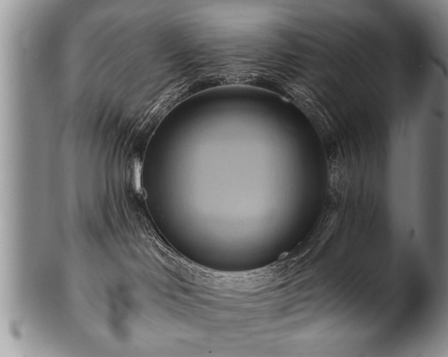 X0000100780046200806261639