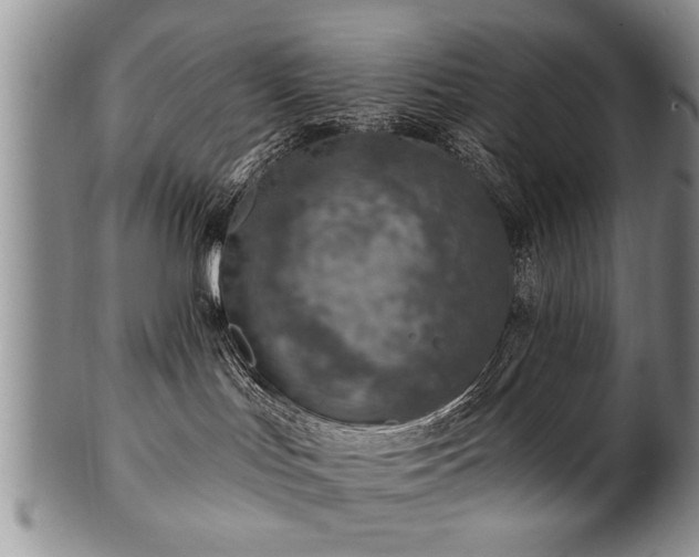 X0000100780047200806261639