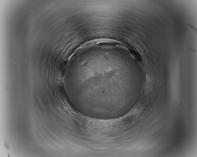 X0000100780048200806261639