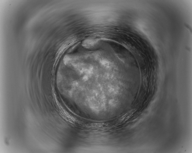 X0000100780049200806261638