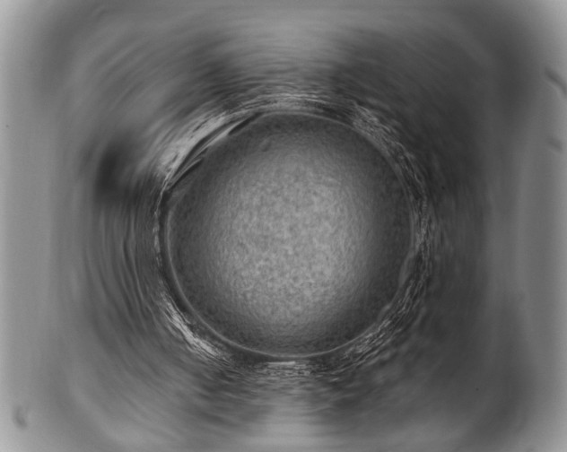 X0000100780050200806261638