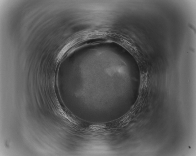 X0000100780051200806261638