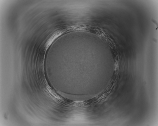 X0000100780052200806261638