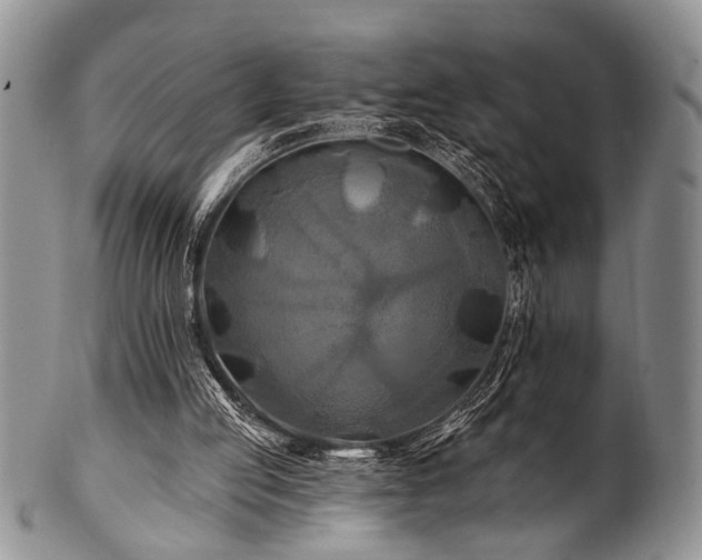 X0000100780053200806261638