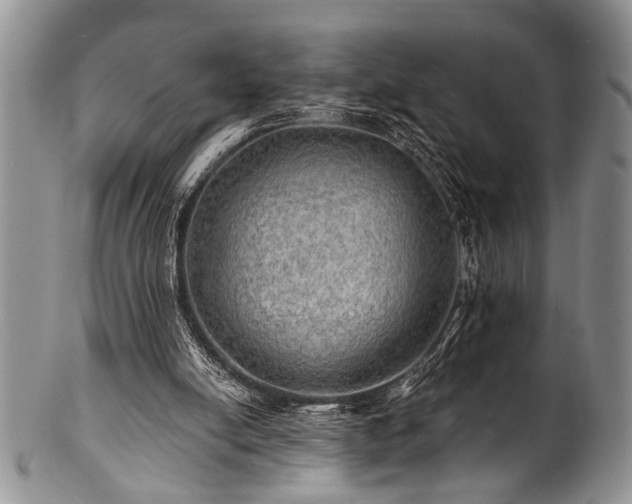 X0000100780054200806261638