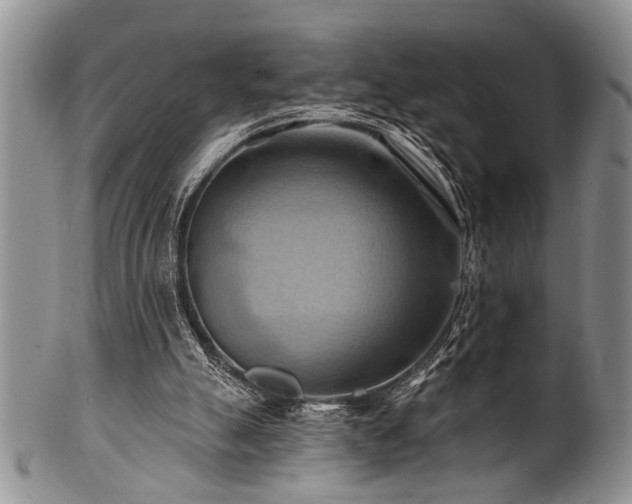 X0000100780055200806261638