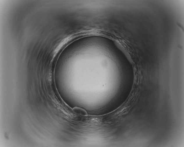 X0000100780056200806261638