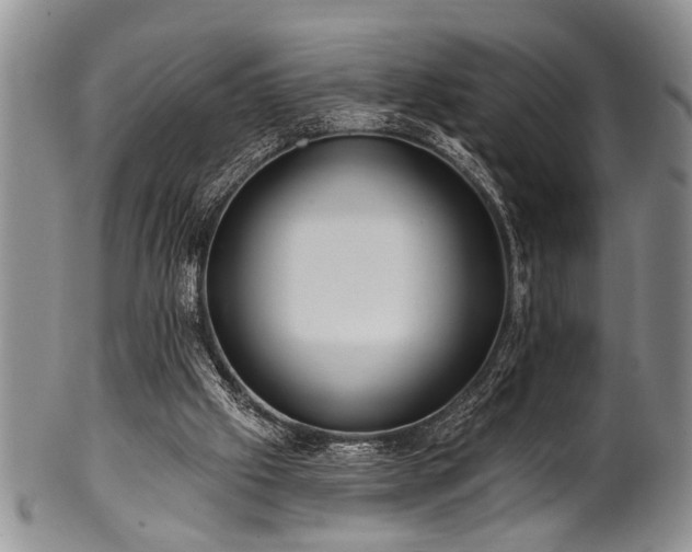 X0000100780057200806261638