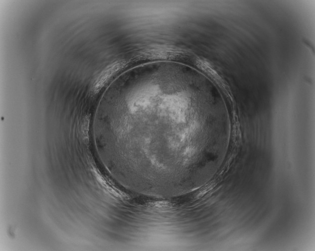 X0000100780058200806261638