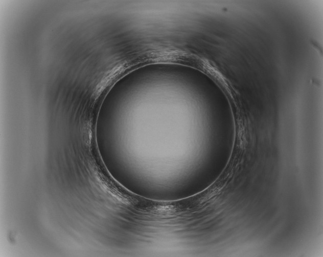 X0000100780059200806261638