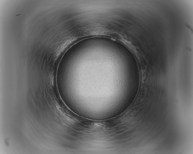 X0000100780060200806261638