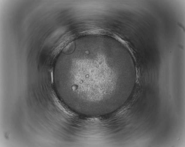 X0000100780061200806261638