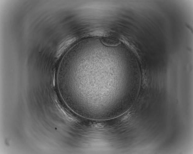 X0000100780062200806261638