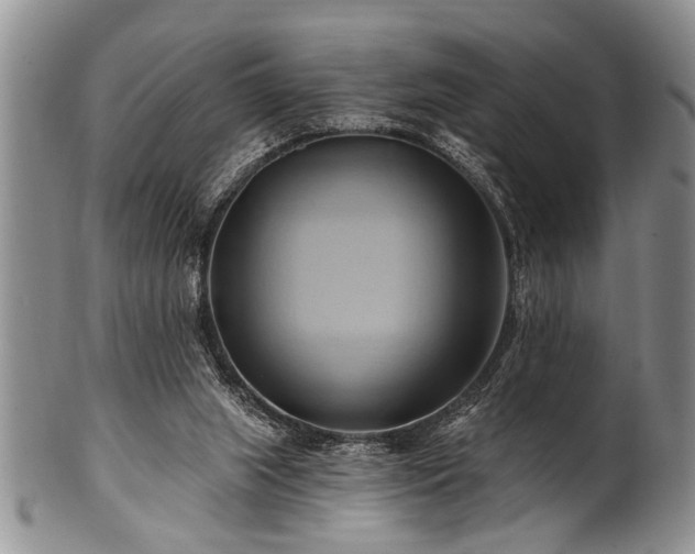 X0000100780063200806261638