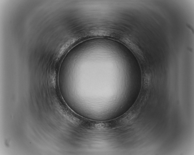 X0000100780064200806261639