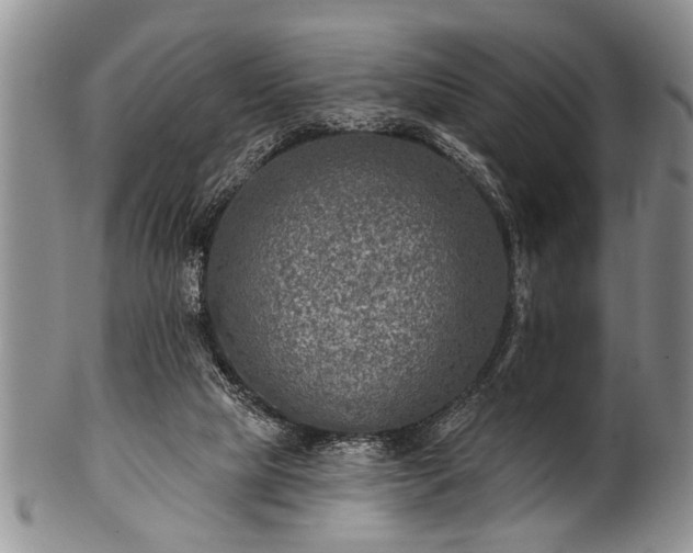 X0000100780065200806261639