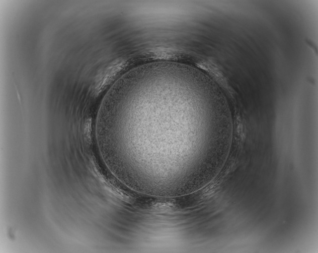 X0000100780066200806261639