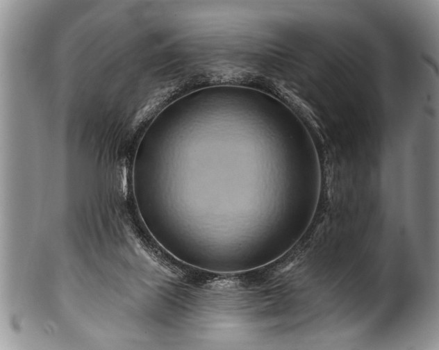 X0000100780067200806261639