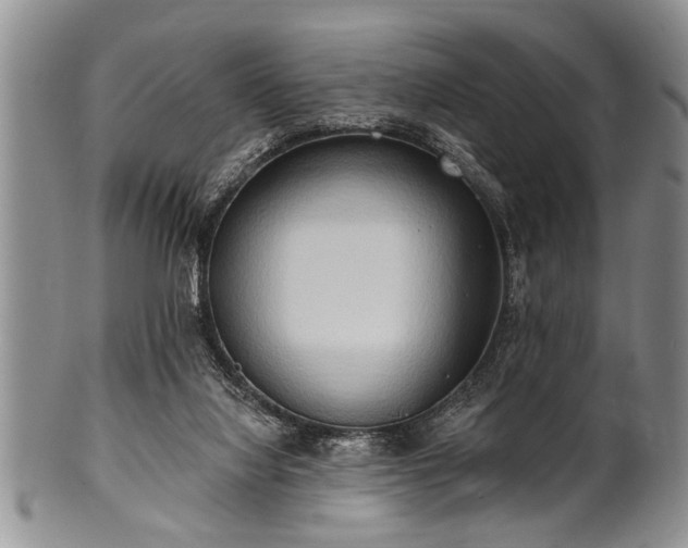 X0000100780068200806261639