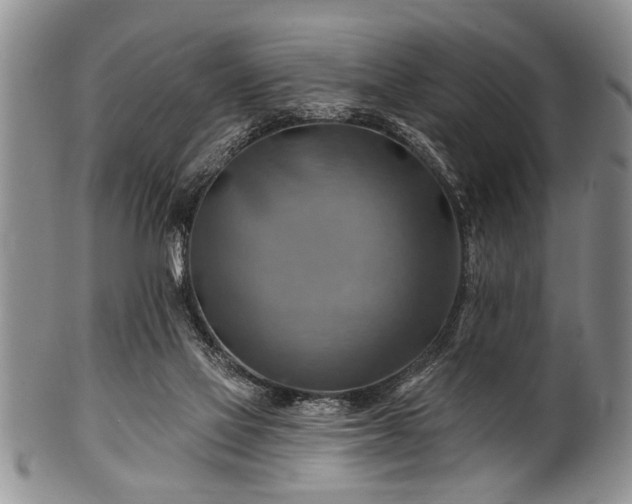 X0000100780069200806261639