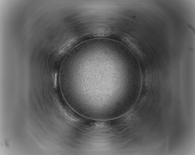 X0000100780070200806261639