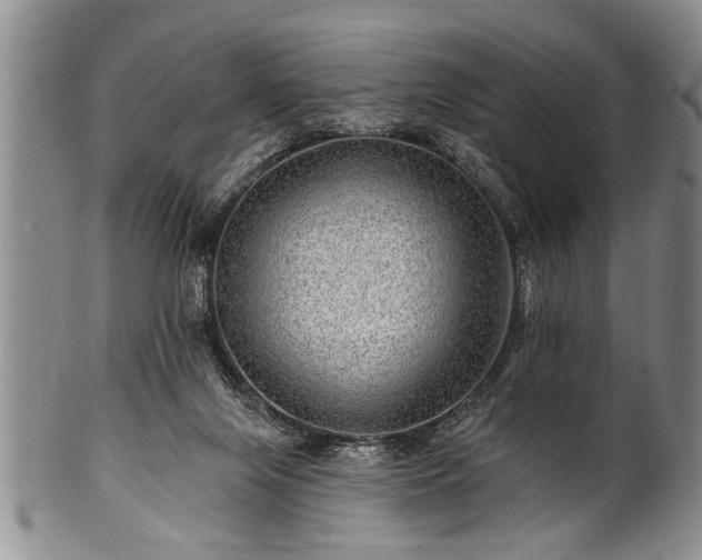 X0000100780071200806261639