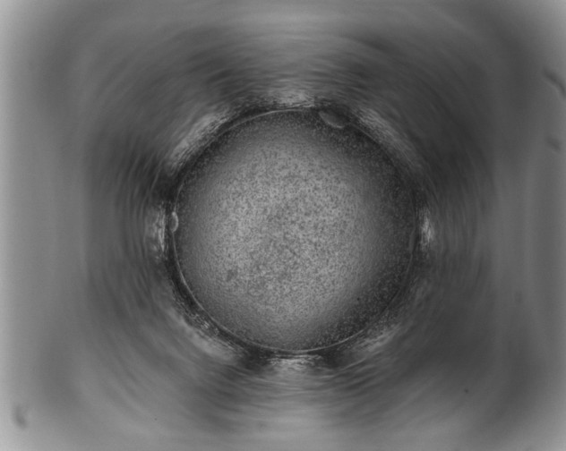 X0000100780072200806261639