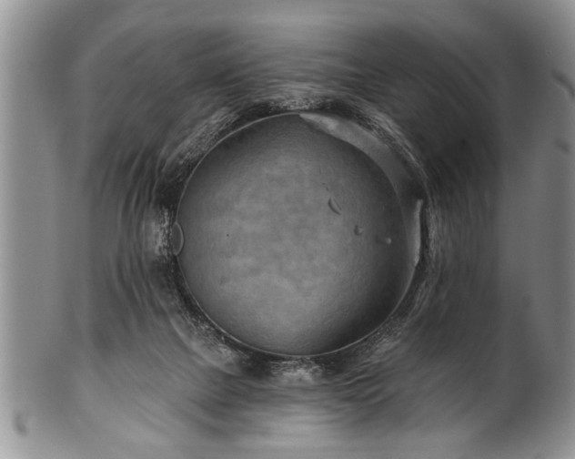 X0000100780073200806261639