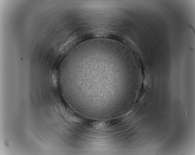 X0000100780074200806261639