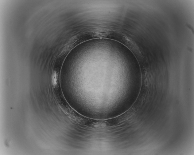 X0000100780075200806261639