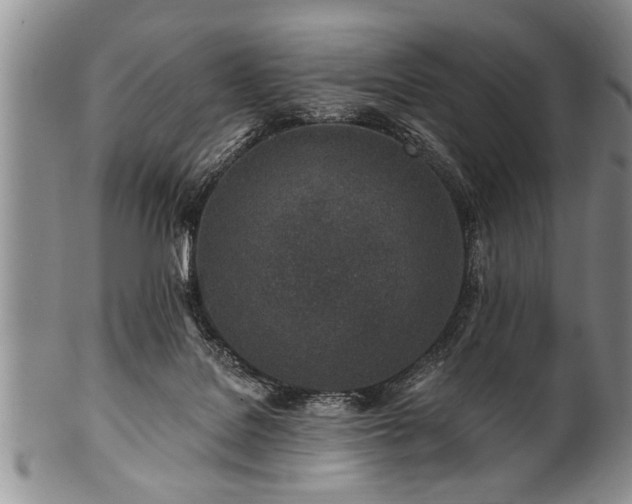 X0000100780076200806261639