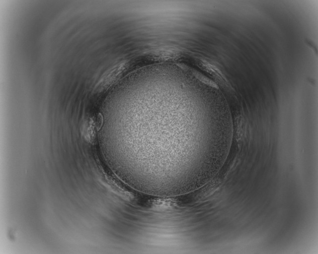 X0000100780077200806261639