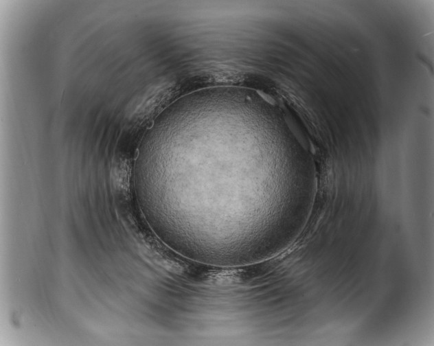 X0000100780078200806261639