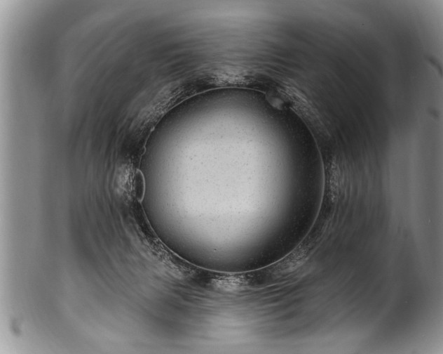 X0000100780079200806261639